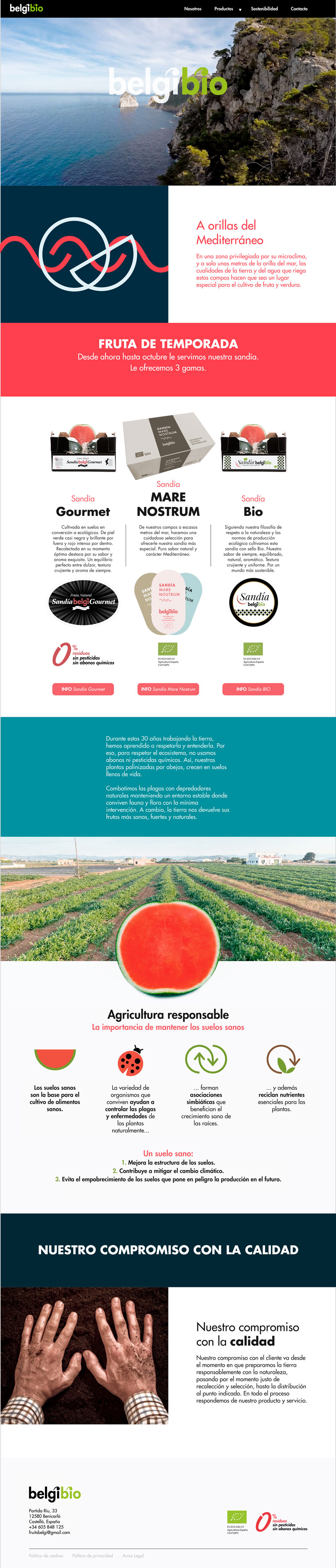 Diseño web castellón